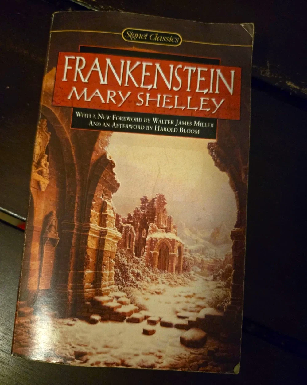 Frankenstein Mary Shelley Signet Classics Paperback Walter James Miller Harold B